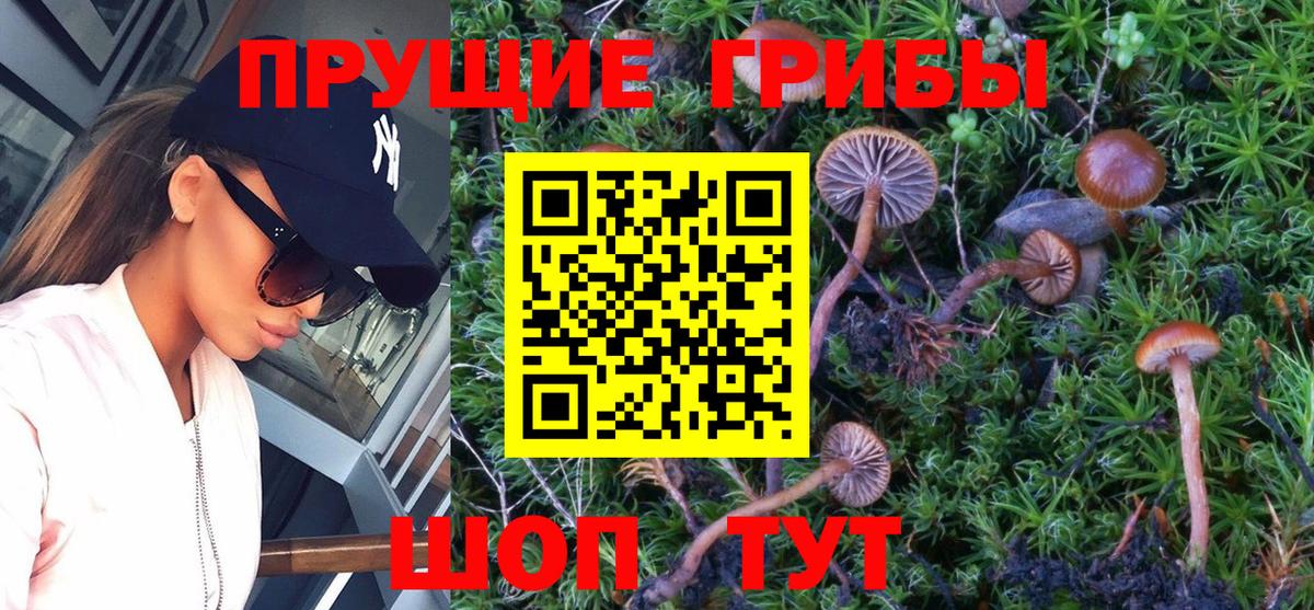 Галлюциногенные грибы MAGIC MUSHROOMS  Галлюциногенные грибы мухоморы  Острогожск  Вход с VPN 