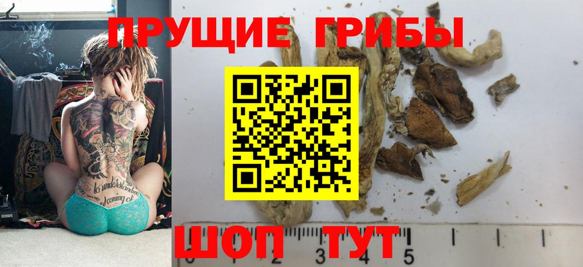 Галлюциногенные грибы Magic Shrooms Острогожск